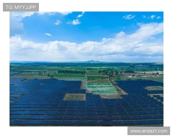 极限运动的蜕变之路：探寻广州极限运动队的成长与转型之旅