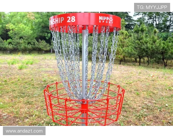 科学飞盘训练：提升个人能力的有效方法与技巧分享