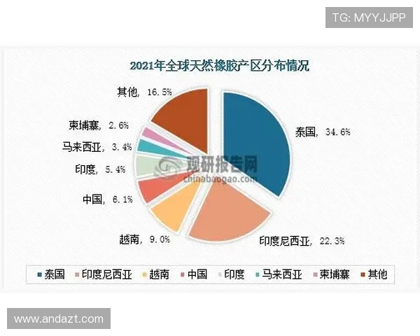 柬埔寨与印度尼西亚的文化碰撞与经济合作前景分析