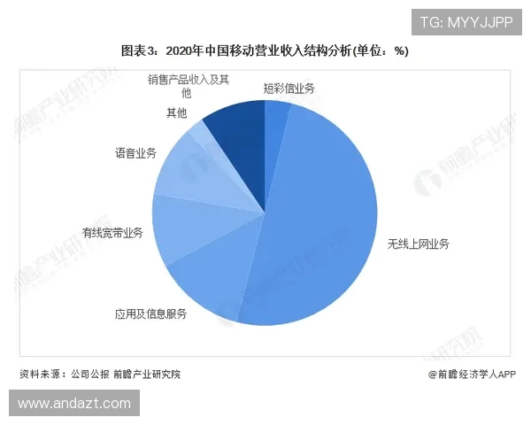 成都网球队包夹战术的优势与劣势分析及未来发展方向探讨